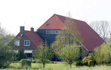 Fototapeta na wymiar farmhouse in the polder