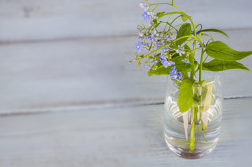 blue forget me nots in a transparent vase on a wooden background