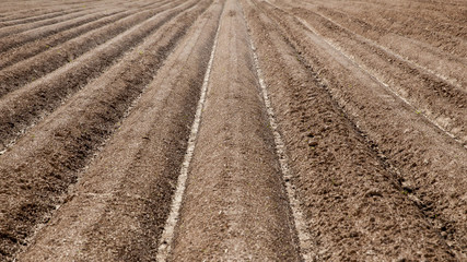 furrows on the field