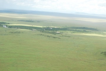 Fototapeta na wymiar Maasai Mara, Rift Valley Kenya