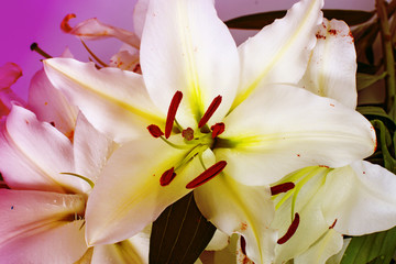 flowers lilies adorned with stones and different decorations. 