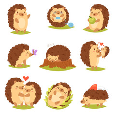 Hedgehog vector cartoon prickly animal character child with love heart in nature wildlife illustration set of hedgehog-tenrec sleeping or playing in forest isolated on white background