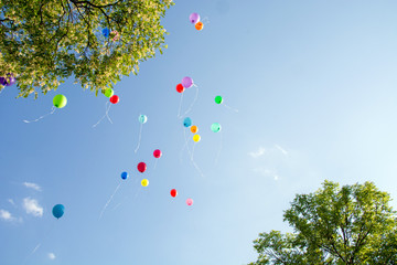 Balloons in the sky