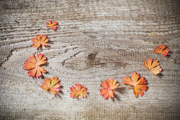 Fototapeta premium autumn leaves on wooden background