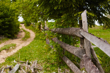 beautiful landscape of the green fields with wooden fence. the road along the fence leading to the country