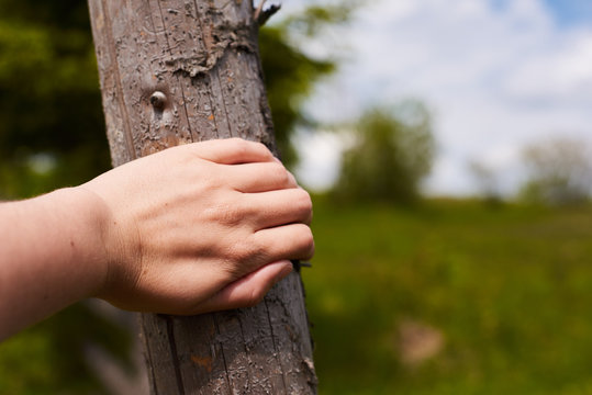 a man wants to jump over a fence in the field. closeup view of the hand. the hand holds onto the fence in the meadow. checks whether a strong fence. stop to rest