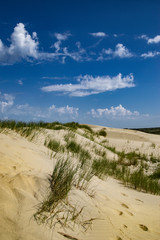 Les dunes d'l'ile d'Oléron