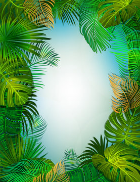 tropical vtctor background