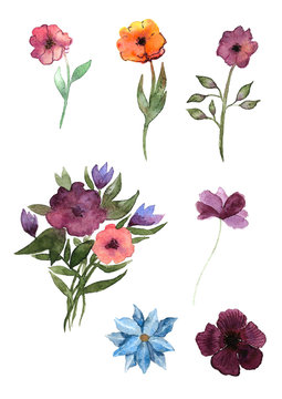 Иллюстрация Цветы.  Акварель.
Watercolor illustration Flowers. Hand drawn