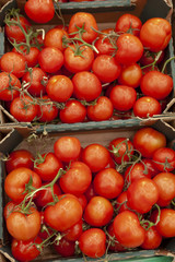 Tomatoes in boxes on the store shelf