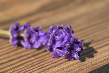 Obraz na płótnie Canvas fresh flowers lavender on a wooden background