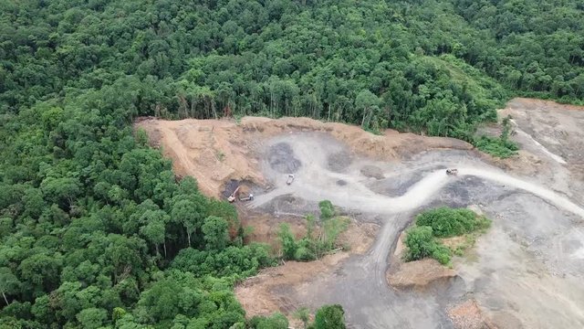 Deforestation in Borneo, Malaysia