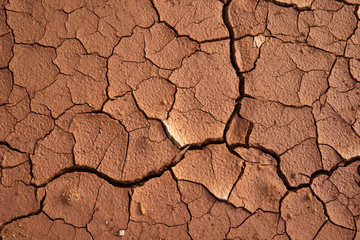 Details of the ground The cracks in the soil. Due to the lack of moisture in the soil, the characteristics of the dehydrated clay are separated. Drought On the conservation of soil and water.