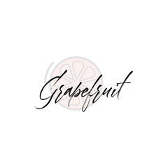 Grapefruit word on background illustration. Fruit web element, Isolated Vector