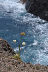 Pantelleria © Renato