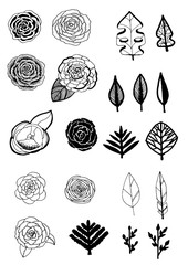 Векторная иллюстрация Цветы и листья. Vector illustration Flowers and leafs