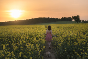 Fototapeta premium Woman wandering on a footpath in a rapeseed field