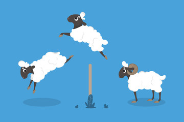 Isolated jumping sheep.