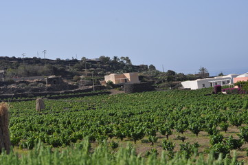 Fototapeta na wymiar Pantelleria