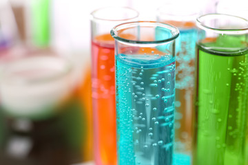 Many test tubes with colorful liquids, closeup