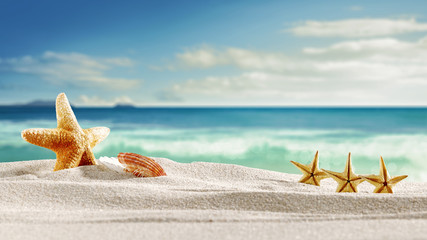 Summer beach sand and shell decoration with copy space for text or product. Sandy beach, sea and...