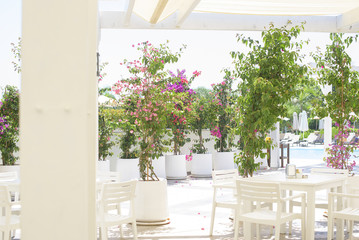 interior of white cafe on the street