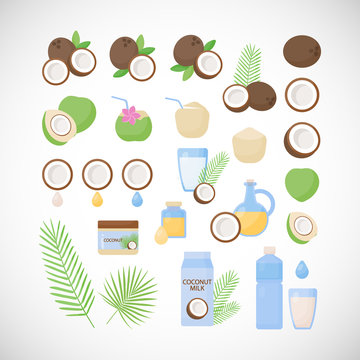 Coconut vector flat icon set