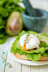 Egg-poached with ciabatta, avocado and baby lettuce leaves