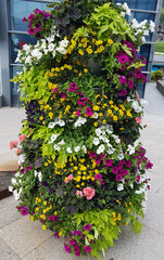 Nice flowers tower, pink, yellow, withe and a lot of different colors and textures