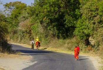Buddhist novice monks walking for alms