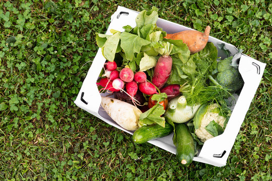 weißer Karton voll mit frischem Bio Gemüse, bunte Blumenwiese im Hintergrund, Konzepte wie Hofladen oder Biomarkt oder Lieferdienst frisch vom Bauernhof