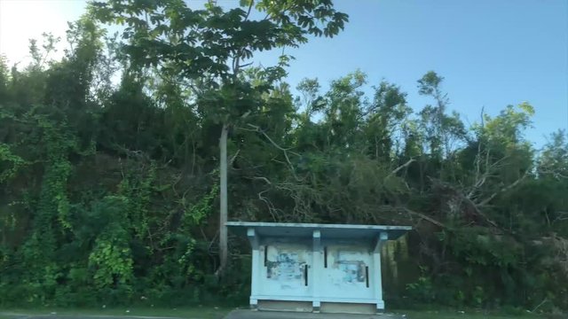 Footage from a road in Puerto Rico