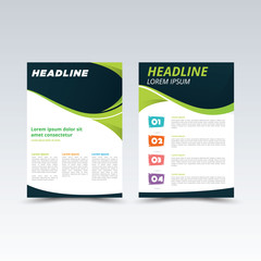 Vector Brochure Flyer design Layout template, size A4, Front page and back page, infographics.