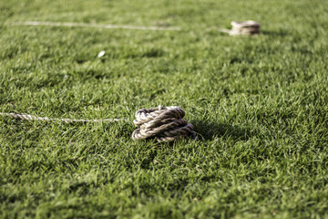 Coiled rope in a grass field