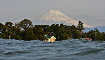 Japanese underwater photos