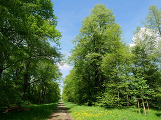 Wanderweg