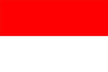 Indonasia, national id