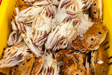 Fresh raw brown sea-crabs at the sreet market in Israel