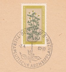 Chamomile pharmacy (Matricaria chamomilla).Special postmark Berlin,therapeutic medicinal plants.Postage stamp Germany 1960