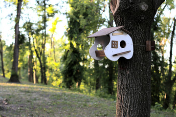 An unusual birdhouse in the forest.