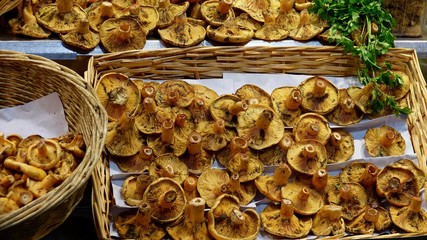 Frische Pfifferlinge, Marktangebot von Speisepilzen