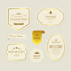 Vintage element banner label and decoration and gold frame.