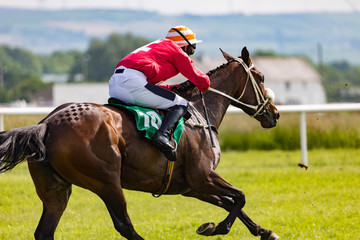 Close up on running racehorse and jockey