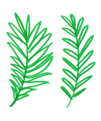 Fototapeta premium Set of two bright green simple abstract palm tree leaves painted in green highlighter felt tip pen on clean white background