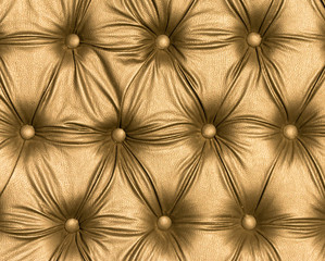 Naklejka premium Black Leather, Golden Hour