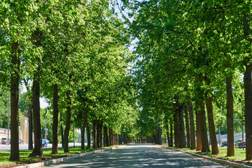 Alley street background with copy space./City, Sidewalk, Cityscape, Human Settlement, Pedestrian Walkway