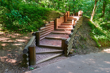 Stairs on a Green Hiking Trail./Steps, Staircase, Minnesota, Woodland, Deep
