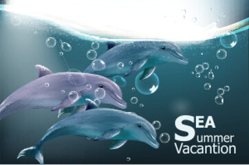 Summer card with dolphins Vector. Under water sea travel card vacations