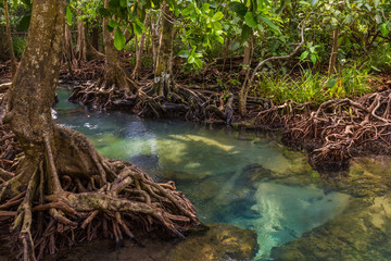 Tha Pom Klong Song Nam beautiful and famous tourist destination in Krabi, Thailand.