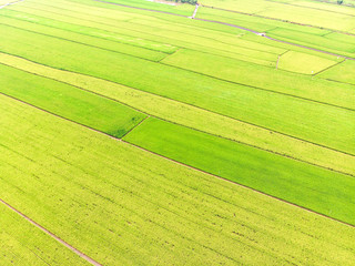 Landscape View of Guandu Plain, Taipei, Taiwan